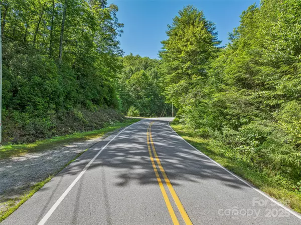 Brevard, NC 28712,0 Frozen Creek RD