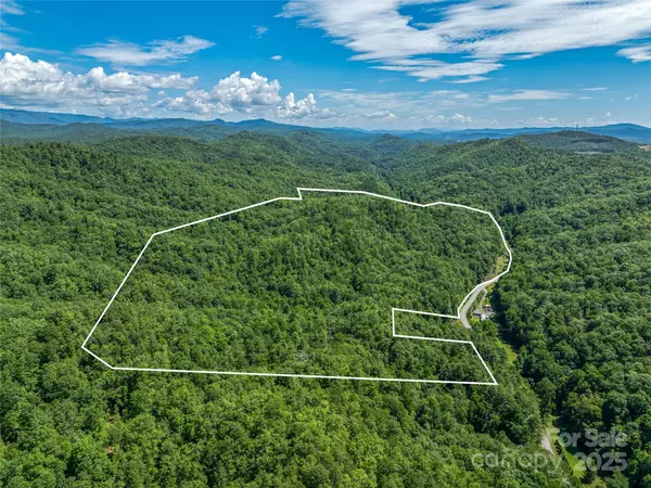 Brevard, NC 28712,0 Frozen Creek RD