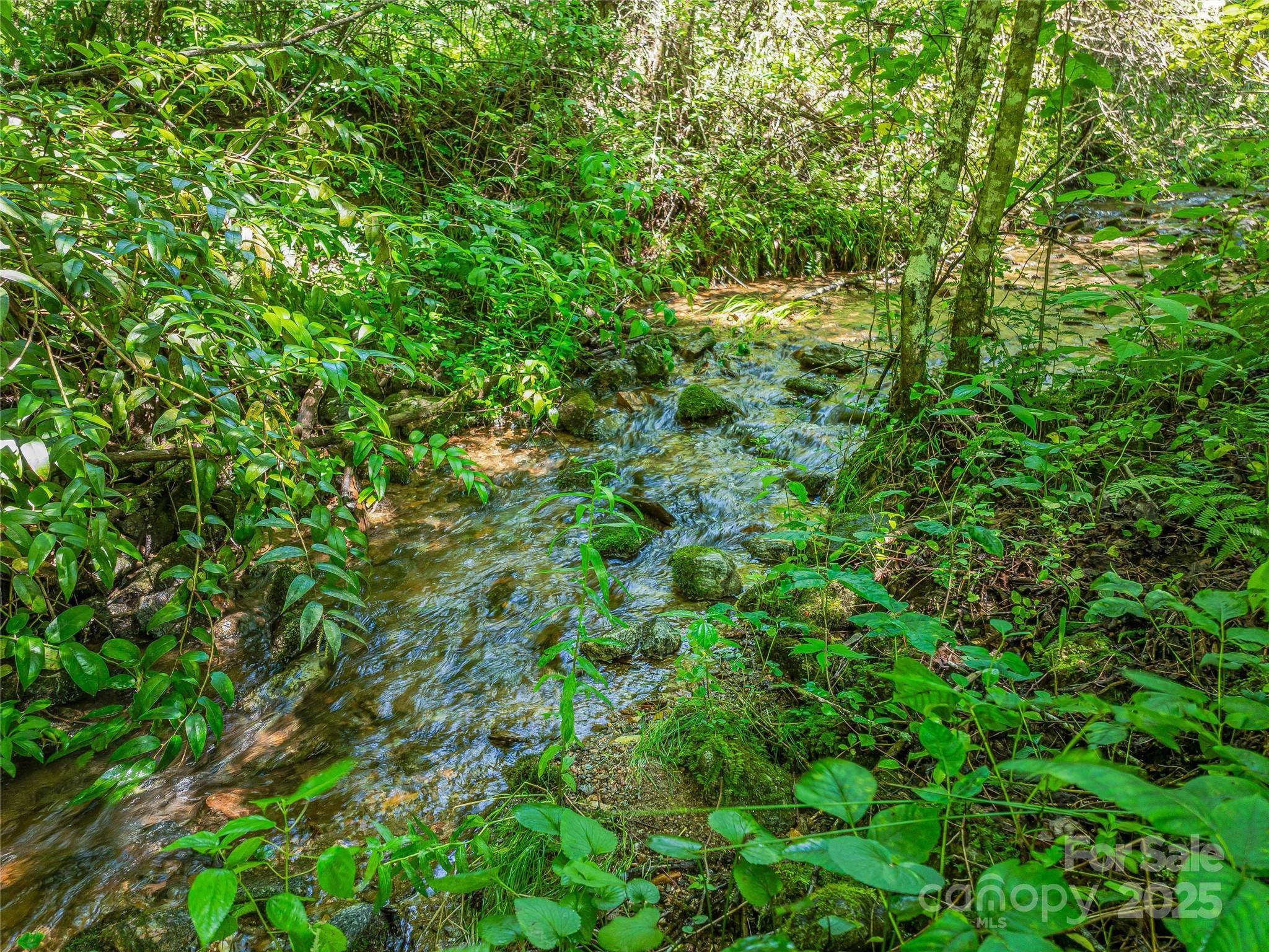 Brevard, NC 28712,0 Frozen Creek RD