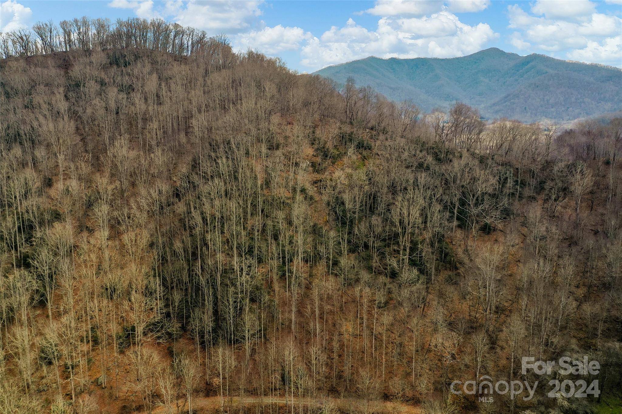 Clyde, NC 28721,Lot 18 Wayward Cove Road, Wayward CV