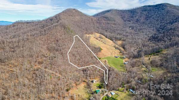 Weaverville, NC 28787,66 Mcdaris Cove RD