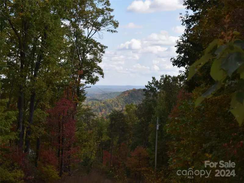 381 Martha Lynns LN, Lake Lure, NC 28746