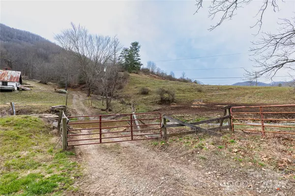 Leicester, NC 28748,298 S Turkey Creek RD