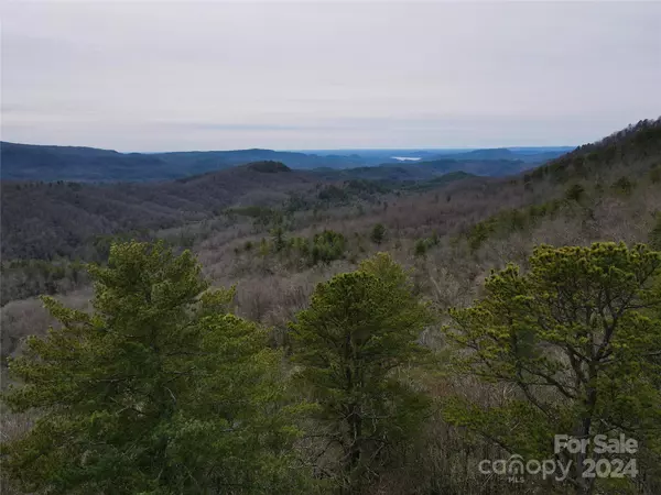 Lake Toxaway, NC 28747,TBD Paul Mccoy RD