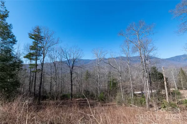 Burnsville, NC 28714,000 Mt. Mitchell DR