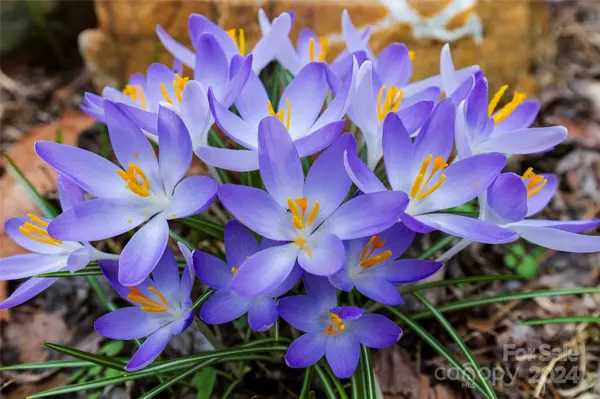 Mars Hill, NC 28754,151 Stone Cottage RD