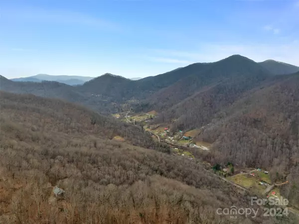 Barnardsville, NC 28709,99999 Countryside Estate