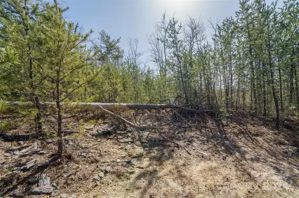 Marion, NC 28752,Lot 16-C and 17-C Nantahala WAY