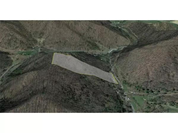 Hot Springs, NC 28743,00 NC 63 ST