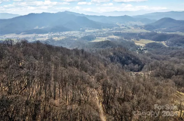 Waynesville, NC 28785,00 Purple Martin LN