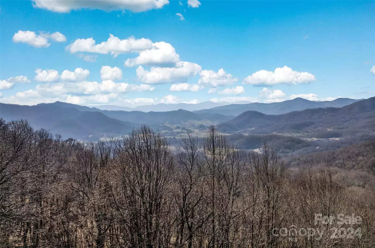 Waynesville, NC 28785,00 Purple Martin LN