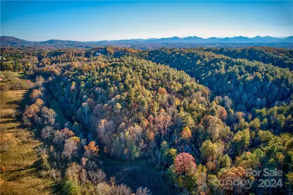 Weaverville, NC 28787,49 Flack Valley RD