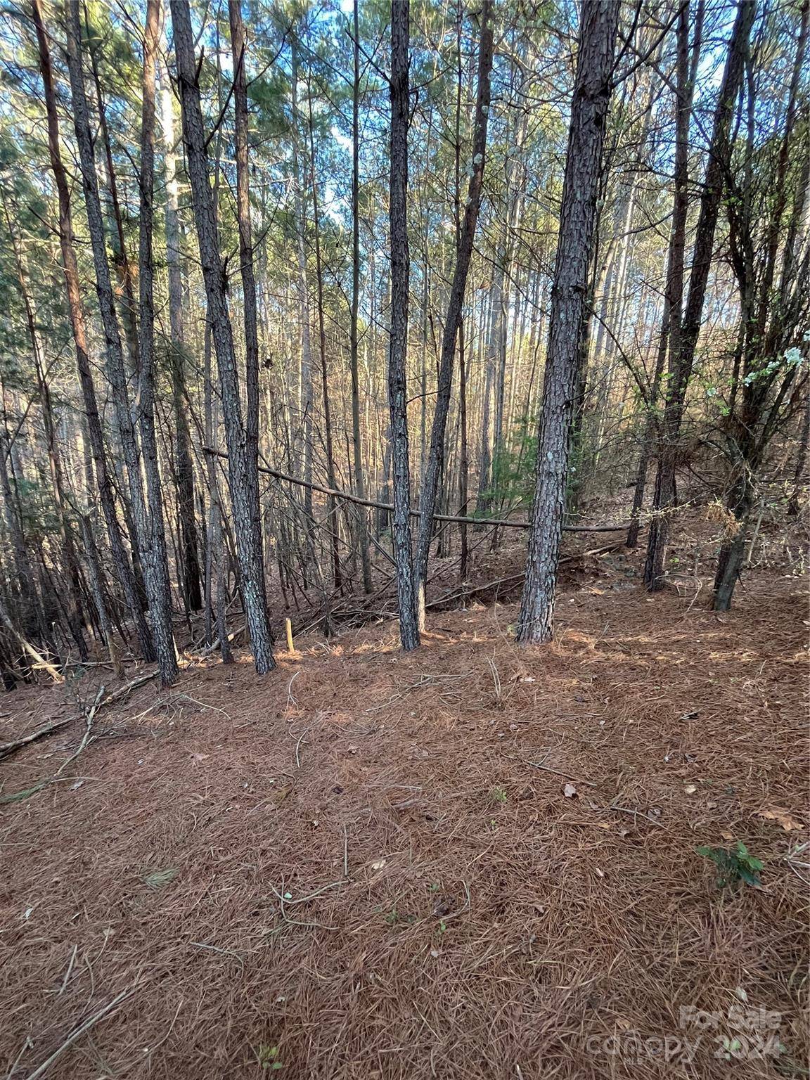 Granite Falls, NC 28638,5582 Bridgewater DR
