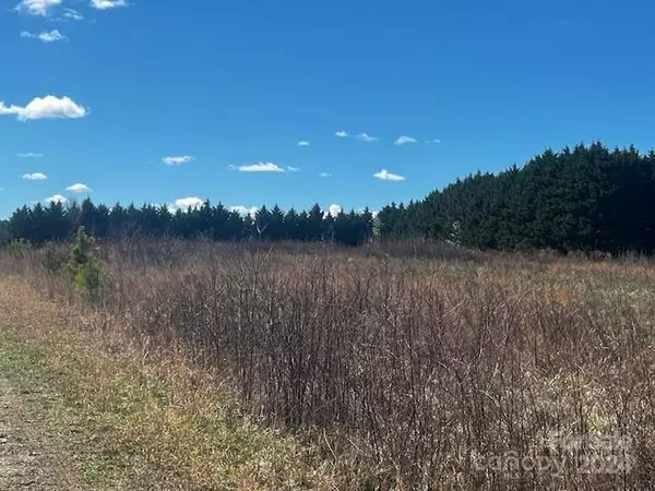 Rutherfordton, NC 28139,1 Lambs Grill RD