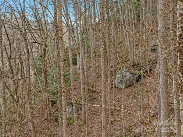 Burnsville, NC 28714,Lot 3 Sugarloaf Mountain EST