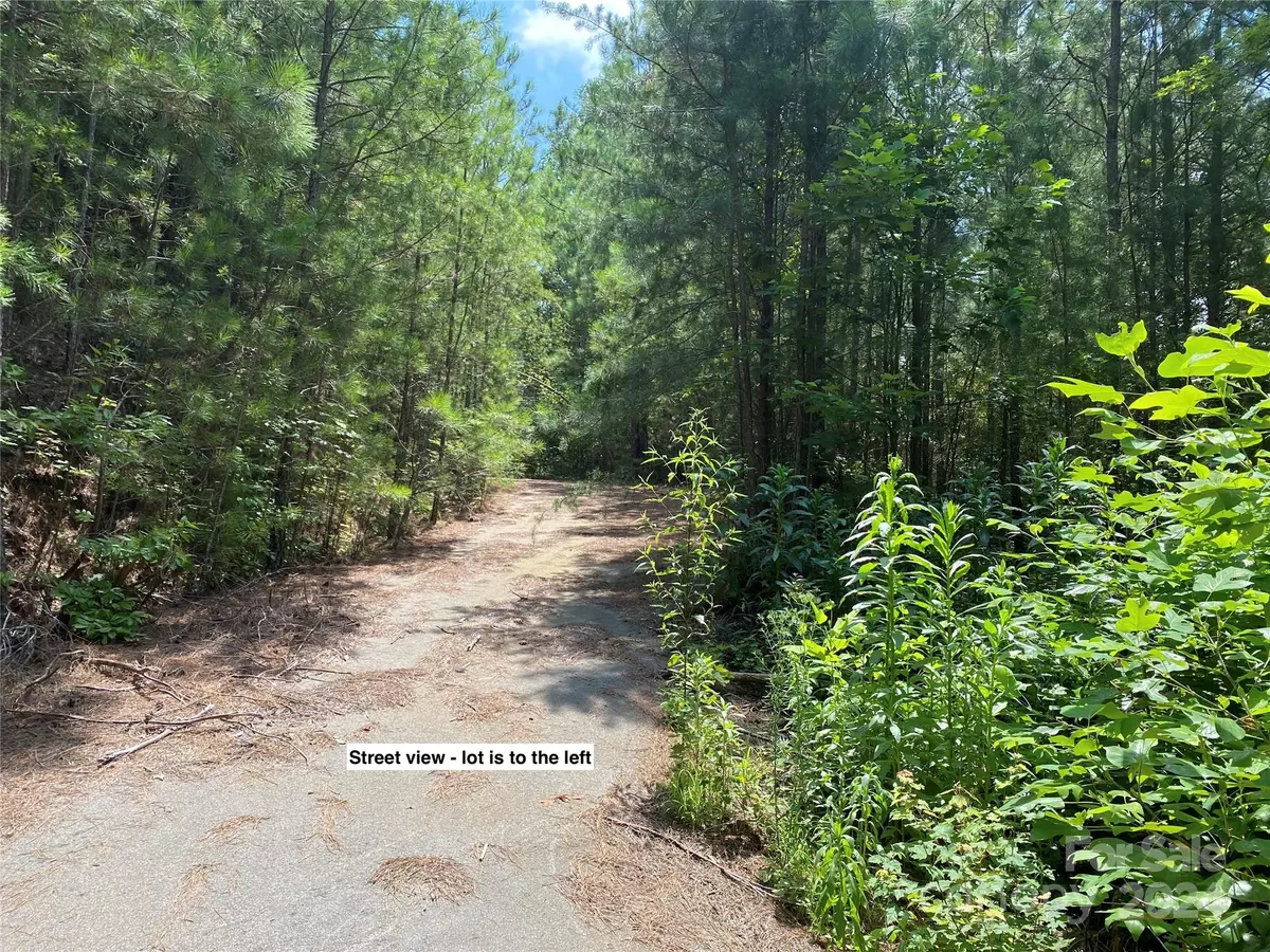 Murphy, NC 28906,Lot 20 Grand Vista DR