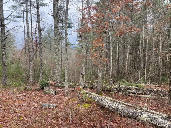 Murphy, NC 28906,Lot 95 River Mountain RD