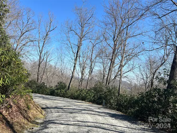 Pisgah Forest, NC 28768,0000 Reserve RD