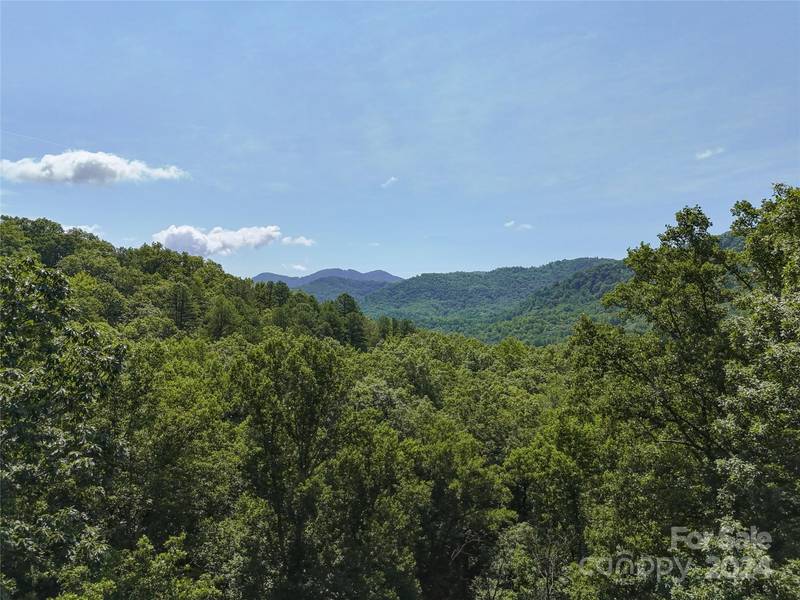 TBD Ironwood LN #T-100, Black Mountain, NC 28711