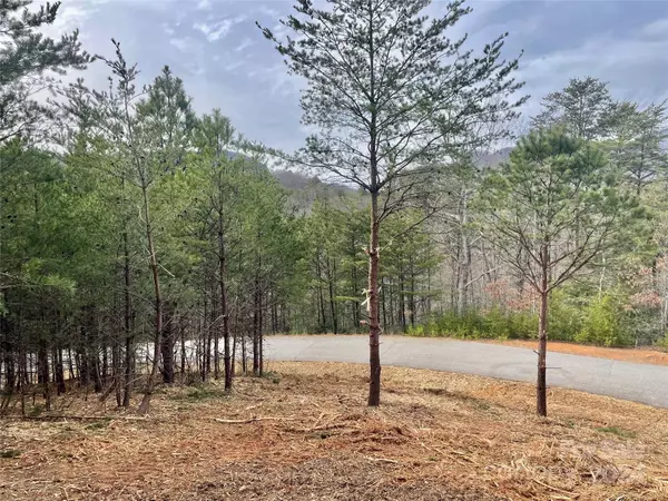 Lake Lure, NC 28746,0 Clear Creek TRL