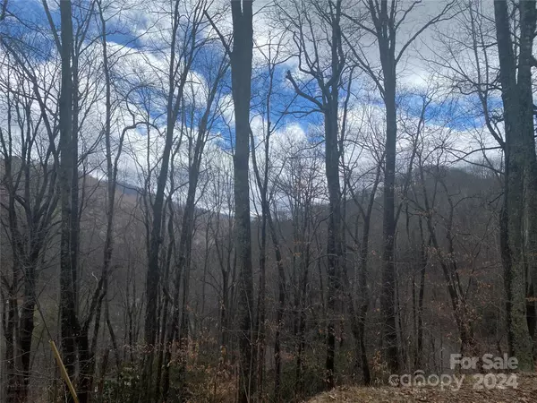 Mars Hill, NC 28754,TBD Fox Den RD