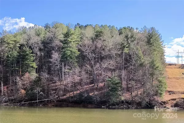 Granite Falls, NC 28630,42 Peaceful Cove CT