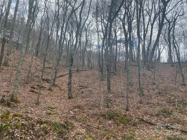 Mars Hill, NC 28754,TBD Spring Valley DR