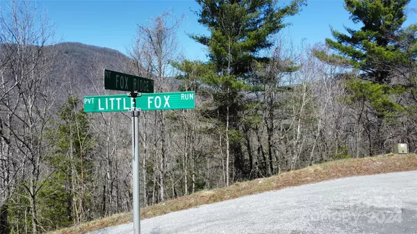 Marion, NC 28752,999999 Fox Ridge TRL #LOT 19