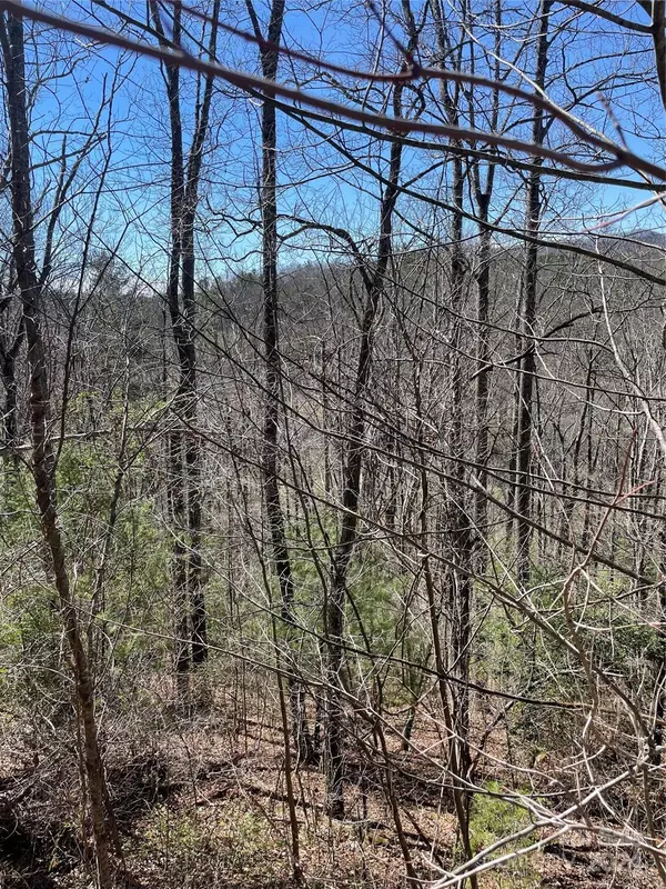 Fletcher, NC 28732,99999 Spy Pointe LN #14/15
