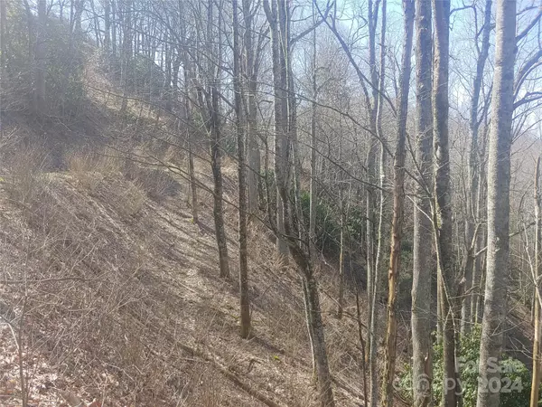 Clyde, NC 28721,38 Barn Cove RD