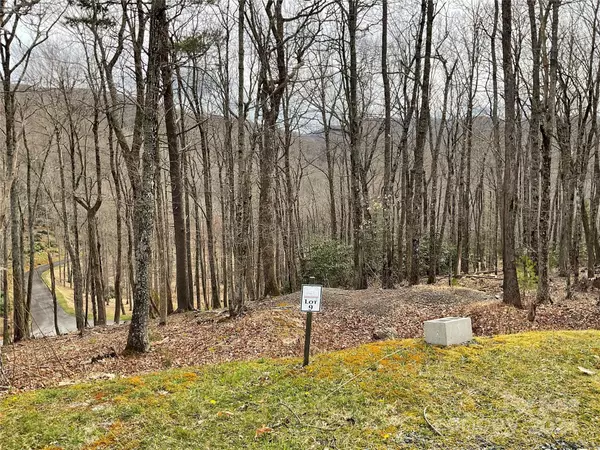 Boone, NC 28607,Lot 10 Sunset Ridge RD