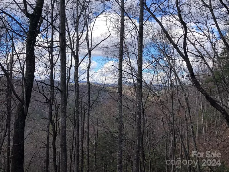 TBD Hickory Hollow RD #141B, Purlear, NC 28665