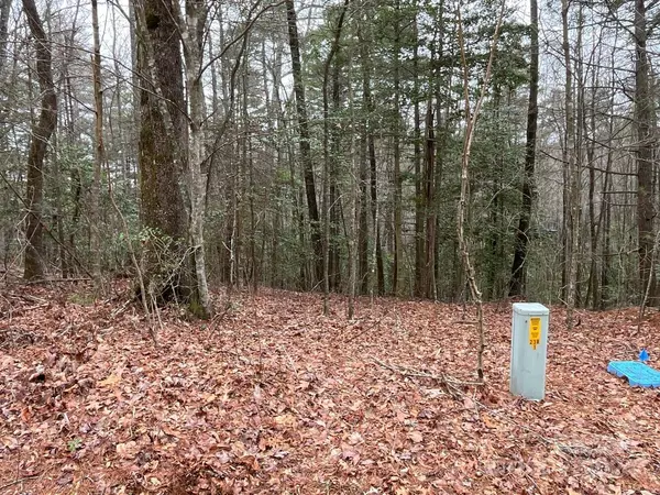 9999 Upper Whitewater RD #122, Sapphire, NC 28774