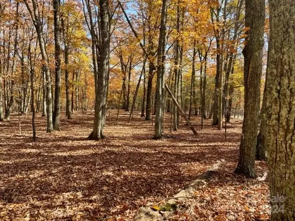 Denton, NC 27239,136 Tor CT