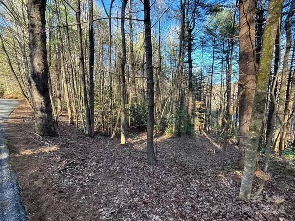 Pisgah Forest, NC 28768,0 Knob RD