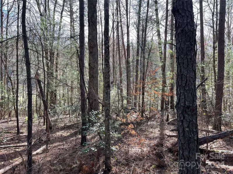 lot 9 Kemp RD, Pisgah Forest, NC 28768