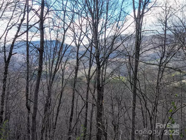 Tuckasegee, NC 28783,0 Dodgen Ridge RD