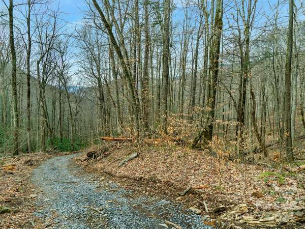 Burnsville, NC 28714,3 +/- acres Mountain Laurel LN