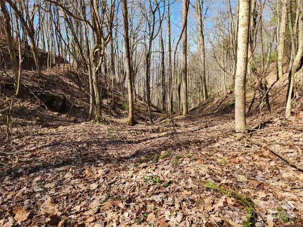 Marshall, NC 28753,2252 Cutshall Town RD