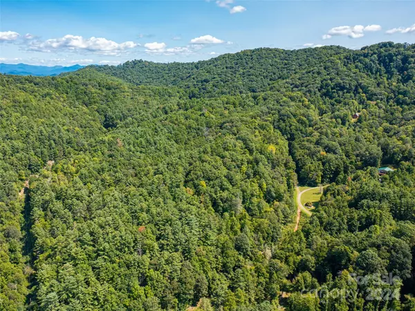 Hot Springs, NC 28743,00000 Meadow Fork School RD