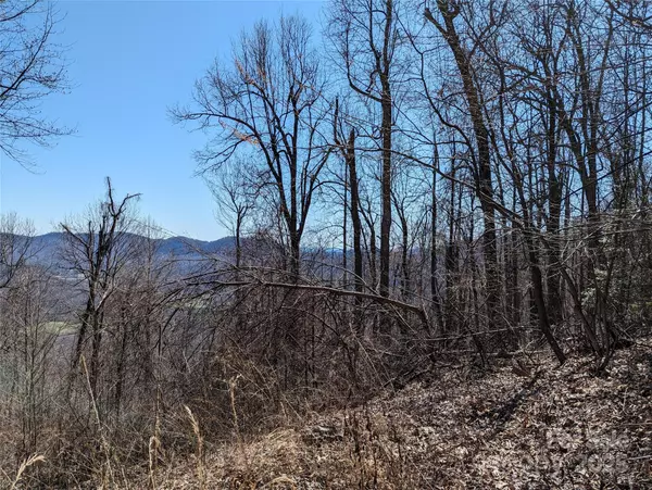 Black Mountain, NC 28711,2687 Creston DR #T-26