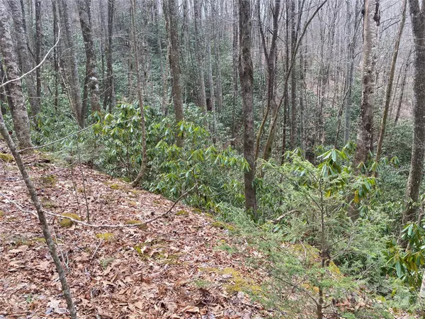 Topton, NC 28781,Lot 2 Lake Ridge LN
