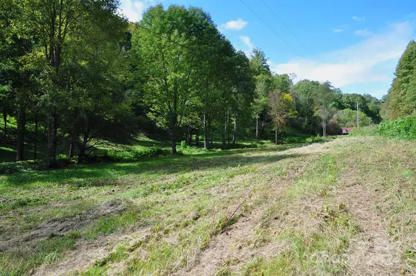 Hot Springs, NC 28743,TBD Poplar Gap RD