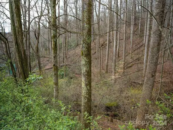 Waynesville, NC 28785,00 Owens RD