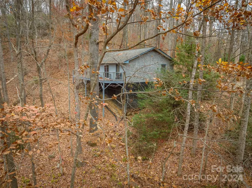 721 Bear Creek LN, Saluda, NC 28773