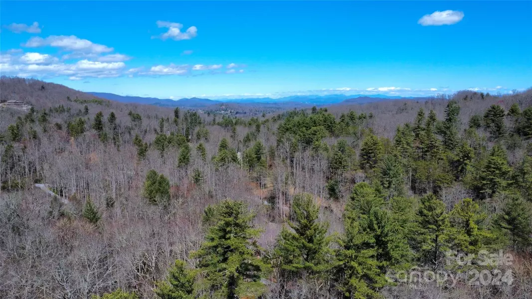 70 Erwin Hill DR, Etowah, NC 28729