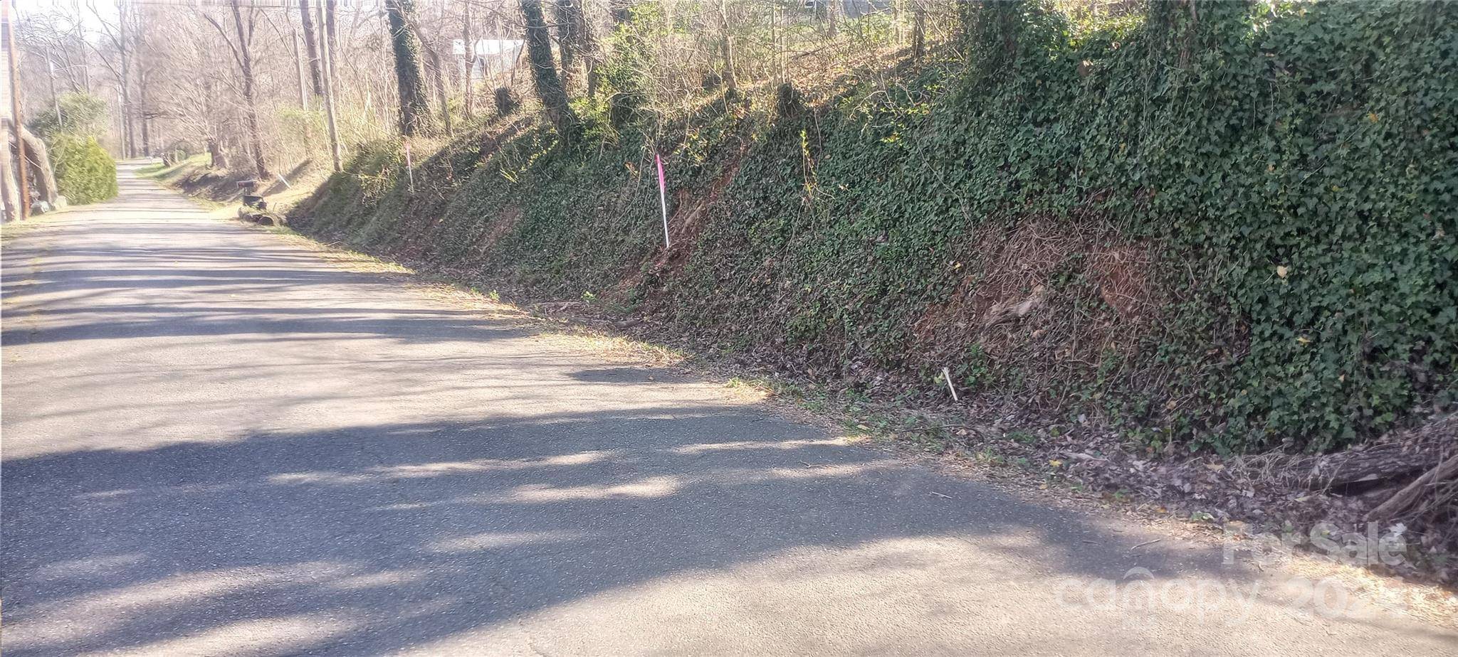 Morganton, NC 28655,Lot 5 Lane ST #5
