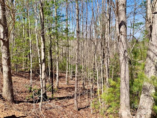 Lot 34 Poplar Bluff DR #Lot 34, Lenoir, NC 28645