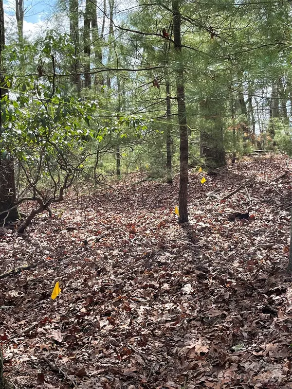 Arden, NC 28704,9 French Broad Overlook #Lot 3