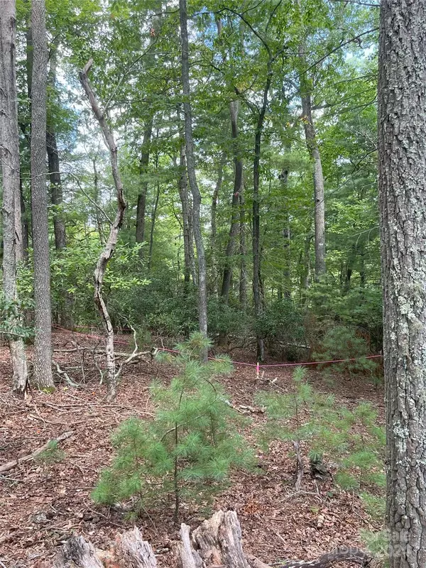 Arden, NC 28704,9 French Broad Overlook #Lot 3